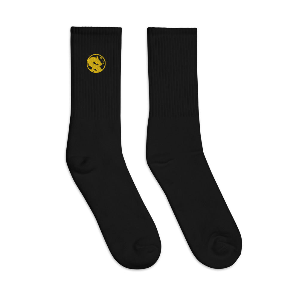 KG Dragon Token socks